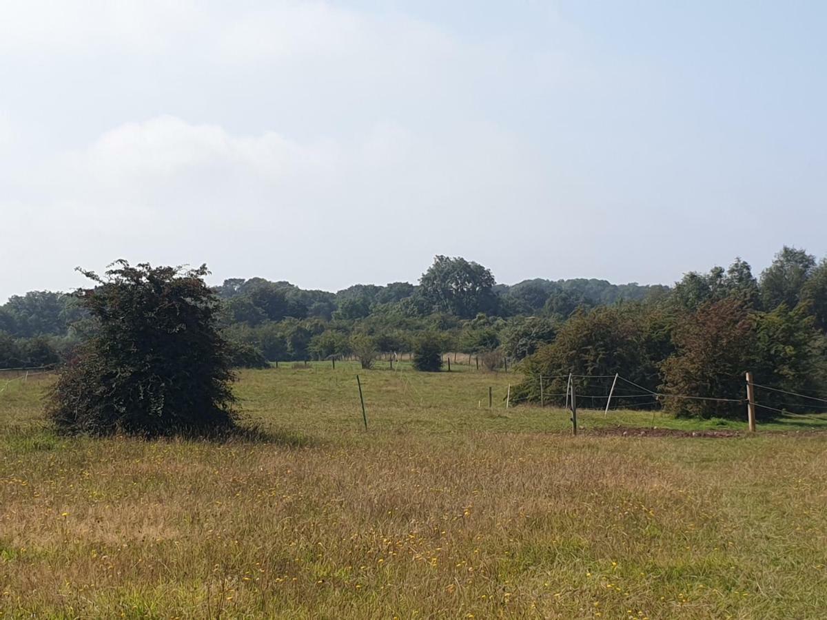 Open Acres Accommodation And Airport Parking Backwell Luaran gambar